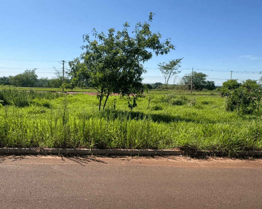 Terreno à venda em Caarapó